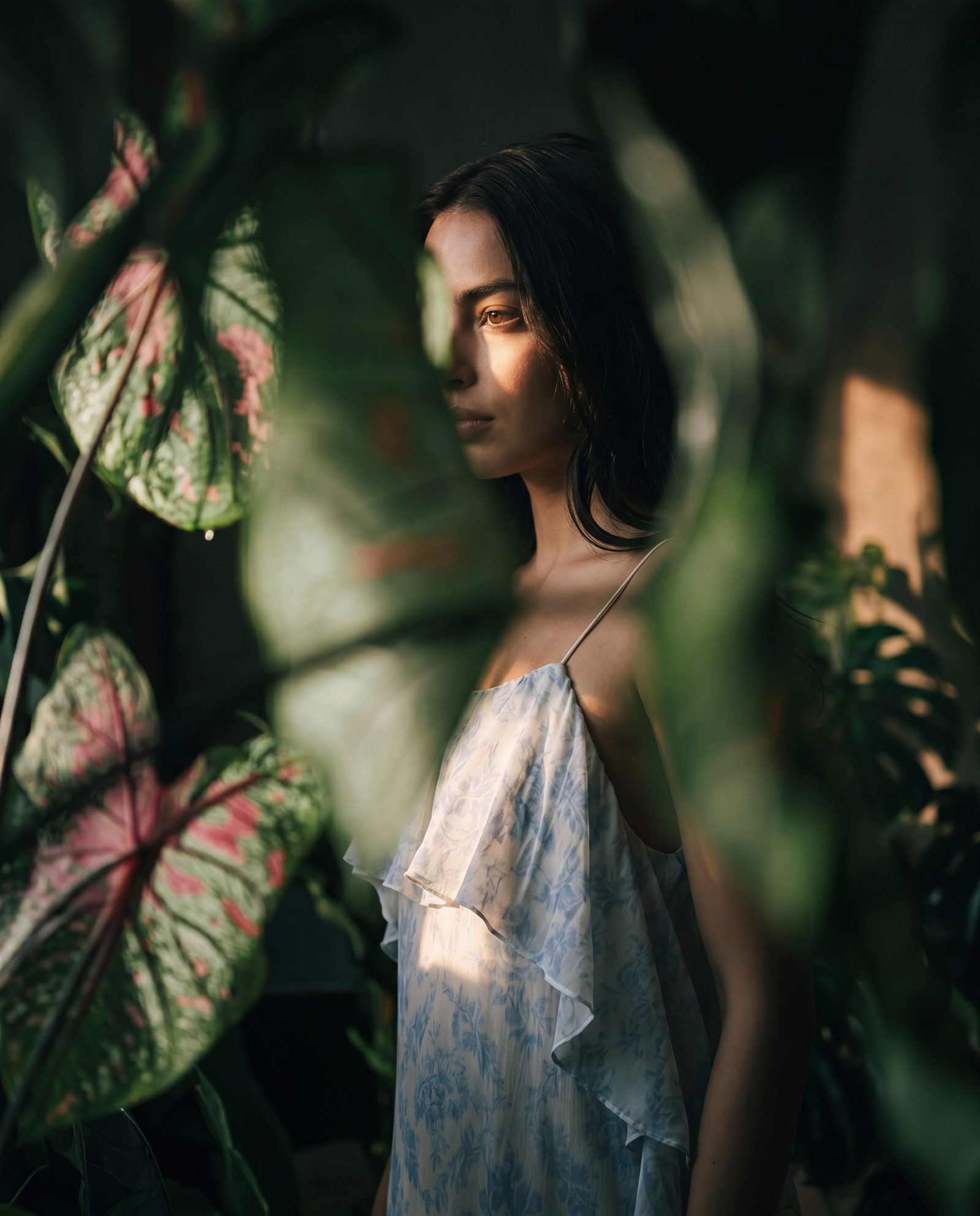 The Catherine — through foliage, dappled light